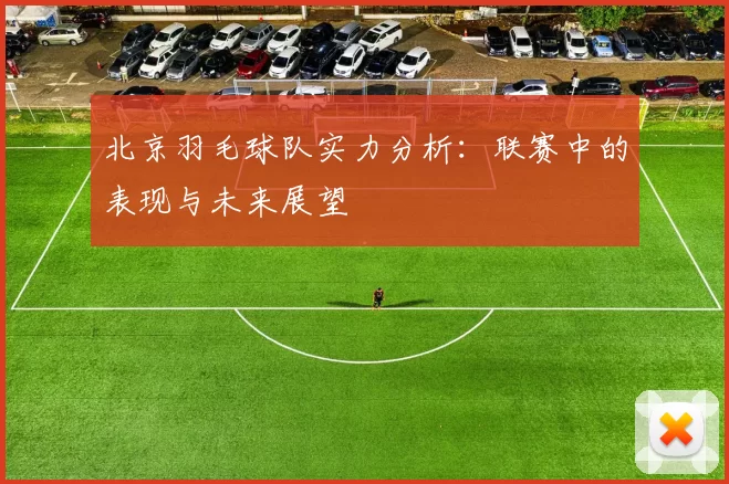 北京羽毛球队实力分析：联赛中的表现与未来展望