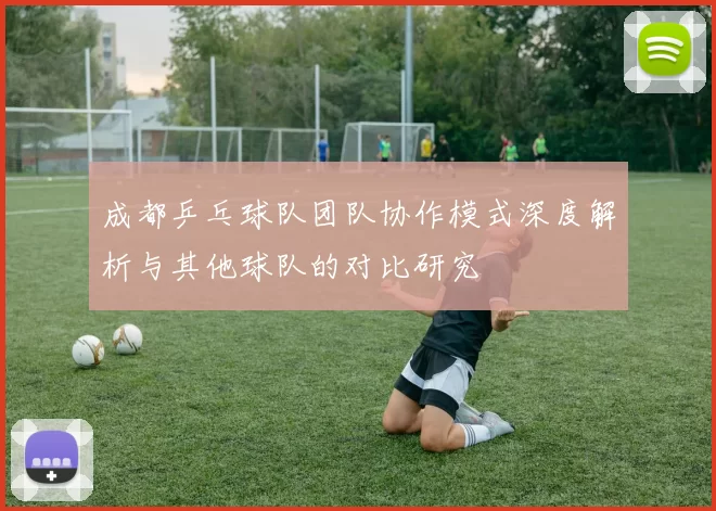 成都乒乓球队团队协作模式深度解析与其他球队的对比研究