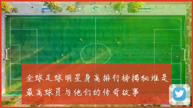 全球足球明星身高排行榜揭秘谁是最高球员与他们的传奇故事